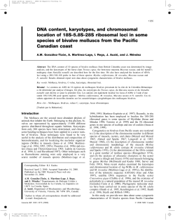 DNA content, karyotypes, and chromosomal location of 18S