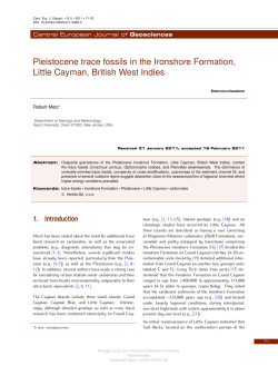Pleistocene trace fossils in the Ironshore Formation, Little Cayman