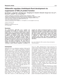 Gibberellin regulates Arabidopsis floral development via