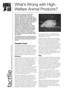 Suffering of Farmed Pigs