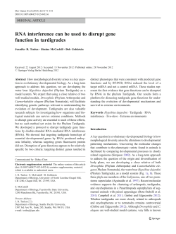 RNA interference can be used to disrupt gene function in tardigrades