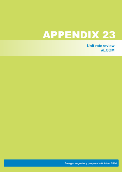 Energex Unit Rate Review