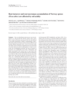 Root turnover and root necromass accumulation of Norway spruce
