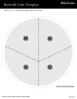 Butterfly Cake Template