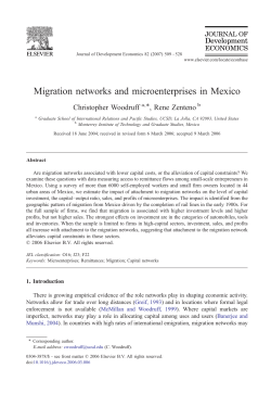 Migration networks and microenterprises in Mexico