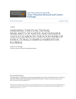 assessing the functional similarity of native and invasive anolis