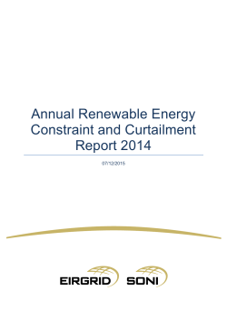 Annual Renewable Energy Constraint and Curtailment
