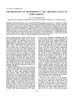 Ruckebusch, 1972 - Paardenwelzijnscheck