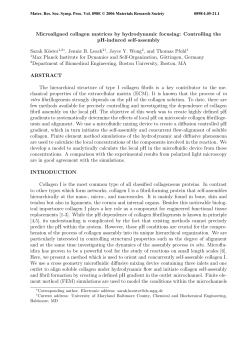 Microaligned collagen matrices by hydrodynamic focusing