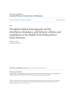 Floodplain habitat heterogeneity and the distribution abundance