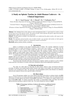 A Study on Splenic Notches in Adult Human Cadavers &ndash; its Clinical