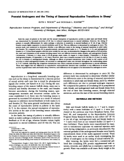 Prenatal Androgens and the Timing of Seasonal Reproductive