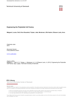 Engineering the Polyketide Cell Factory