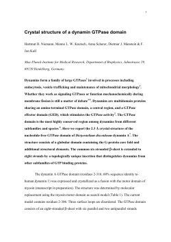 Crystal structure of a dynamin GTPase domain