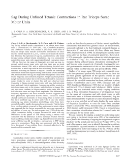 Sag During Unfused Tetanic Contractions in Rat Triceps Surae