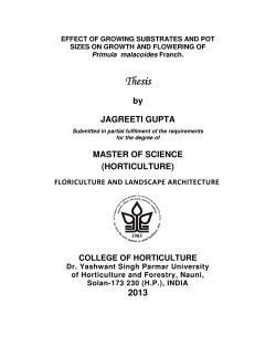 EFFECT OF GROWING SUBSTRATES AND POT SIZES ON