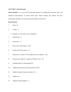 LECTURE 7: Floral formula Floral formula: it is a very