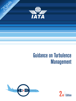 Guidance on Turbulence Management