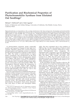 Purification and Biochemical Properties of