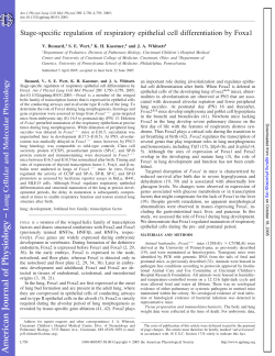 Stage-specific regulation of respiratory epithelial cell differentiation