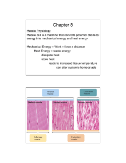 Chapter 8