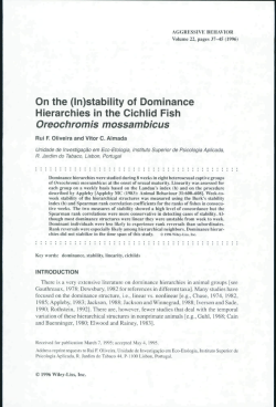 On the (In)stability of Dominance Hierarchies in the Cichiid Fish