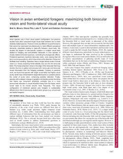 maximizing both binocular vision and fronto