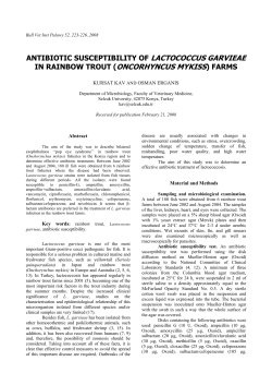antibiotic susceptibility of lactococcus garvieae in rainbow trout