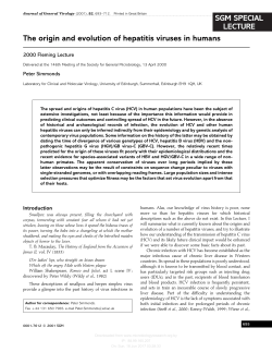 The origin and evolution of hepatitis viruses in humans