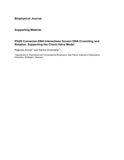 Biophysical Journal Supporting Material Phi29 Connector