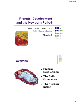 Siegler Chapter 2: Prenatal Development and the Newborn Period