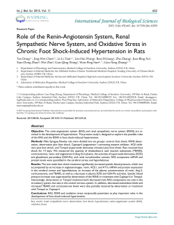 Role of the Renin-Angiotensin System, Renal Sympathetic Nerve
