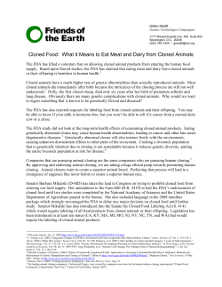 Cloned Food: What it Means to Eat Meat and Dairy from Cloned