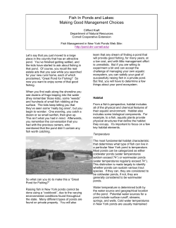 Fish In Ponds and Lakes: Making Good Management Choices