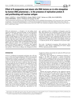 Effect of 8-oxoguanine and abasic site DNA lesions on in vitro