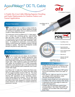 AccuRibbon&reg; DC TL Cable Data Sheet