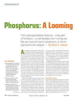 Phosphorus Cycle Sci Am