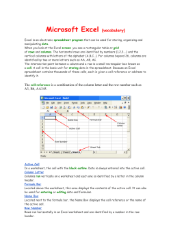 Microsoft Excel (vocabulary)