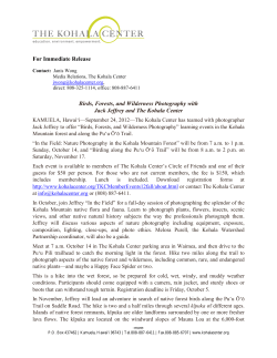 For Immediate Release Birds, Forests, and Wilderness Photography