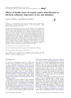 Effects of benthic fauna on organic matter mineralization in fish