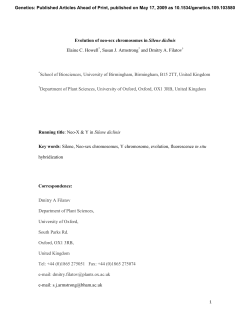 Evolution of neo-sex chromosomes in Silene diclinis
