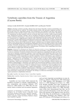 apa 1048.qxd - Ameghiniana