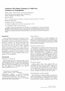 Carnivora: The Primary Structures of Adult Lion