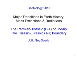 Major Transitions in Earth History: Mass Extinctions