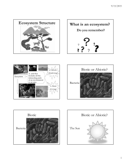 Ecosystem Structure What is an ecosystem?