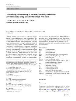 Monitoring the assembly of antibody