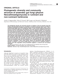 Phylogenetic diversity and community structure of anaerobic gut fungi