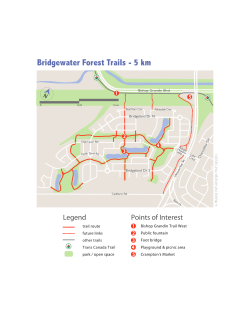 Bridgewater Forest Trails - 5 km