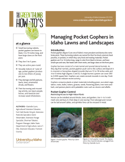 Managing Pocket Gophers in Idaho Lawns and Landscapes