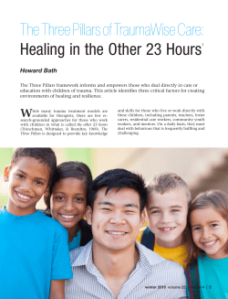 The Three Pillars of TraumaWise Care: Healing in